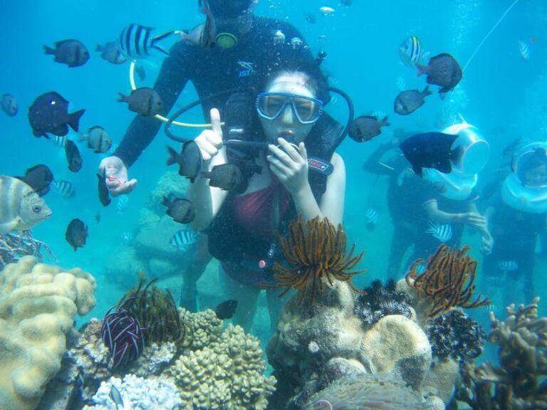 Red River Tour - Scuba Diving At Roi Island Phu Quoc - The Value of the Tour: Is It Worth It?