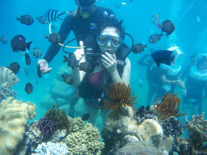 Red River Tour - Scuba Diving At Roi Island Phu Quoc - The Value of the Tour: Is It Worth It?
