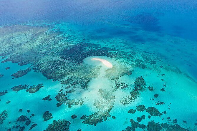 Reef and Rainforest 60 minute Scenic Flight - Climbing to 2,500 Feet: The First Views