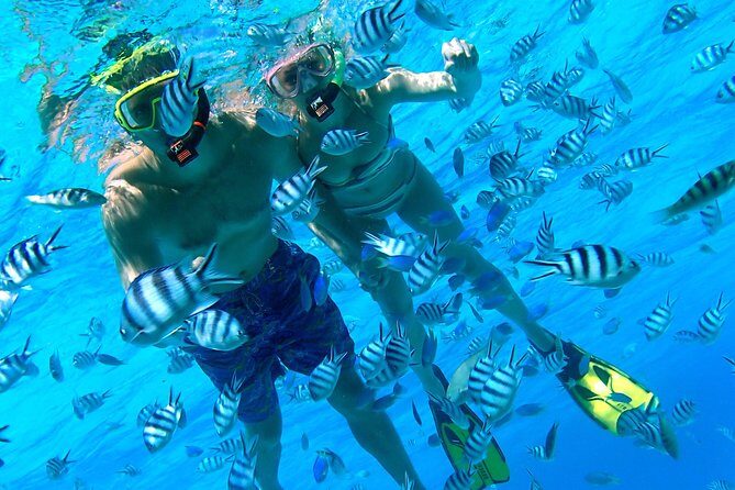 Reef Discovery Private Half Day Lagoon Tour - The Practicalities