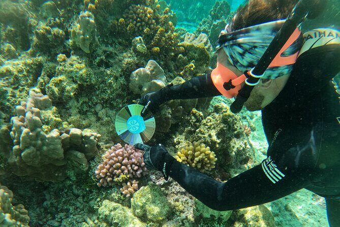 Reef Exploration with Reva Atea participatory science - What to Expect from Your Reef Adventure