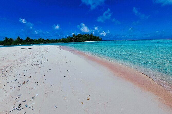 REEF ISLAND | private island | pink sand | natural swimming pools - The Experience: What Sets It Apart