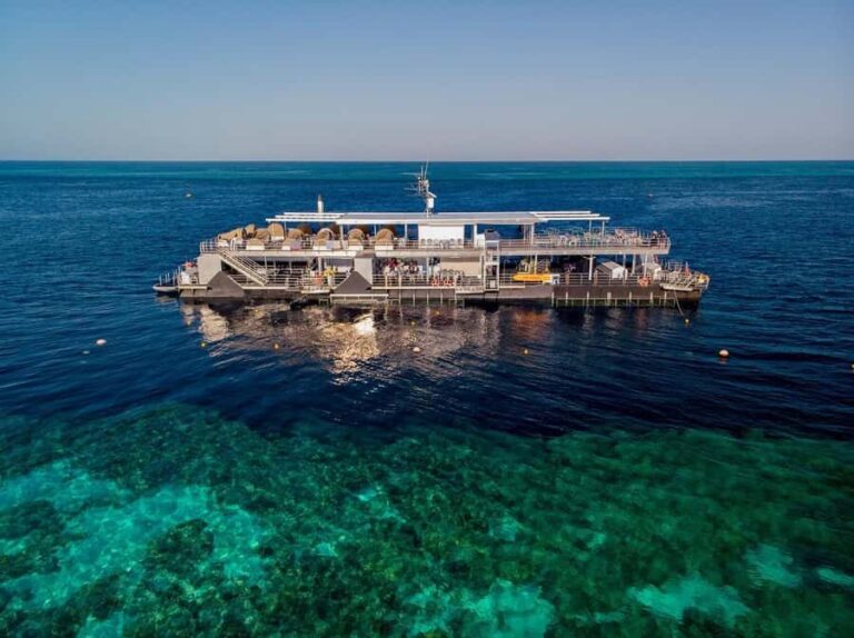 Reef Sleep: 2-Day Great Barrier Reef Pontoon & Gourmet Meals - What This Tour Means for You