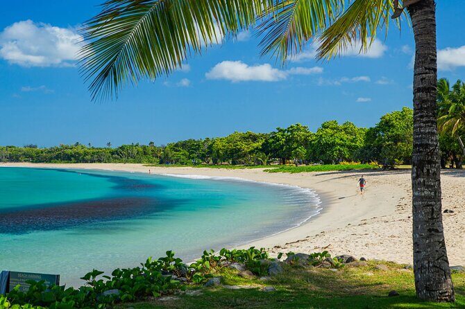Relaxing Tours in Tropical Paradise Fiji - What Real Travelers Say (Based on Available Reviews)