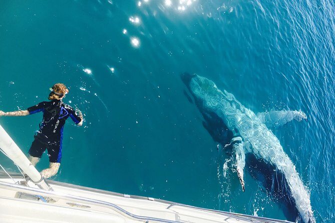 Remote K'gari (Fraser Island) & Whale Experience - What to Expect During Your Day