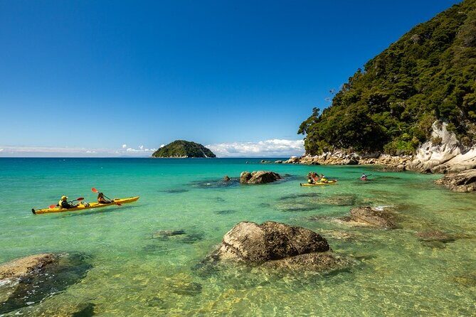 Remote Marine Reserve - Guided Kayaking - New Zealand - What Travelers Are Saying