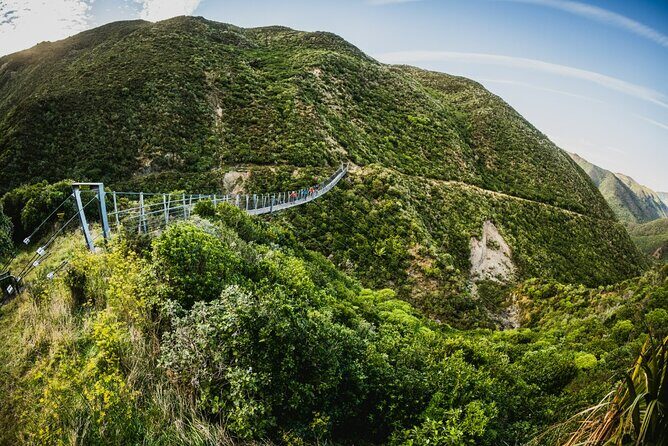 Remutaka Rail Trail eBike Explorer Cycle Tour - The Itinerary in Detail