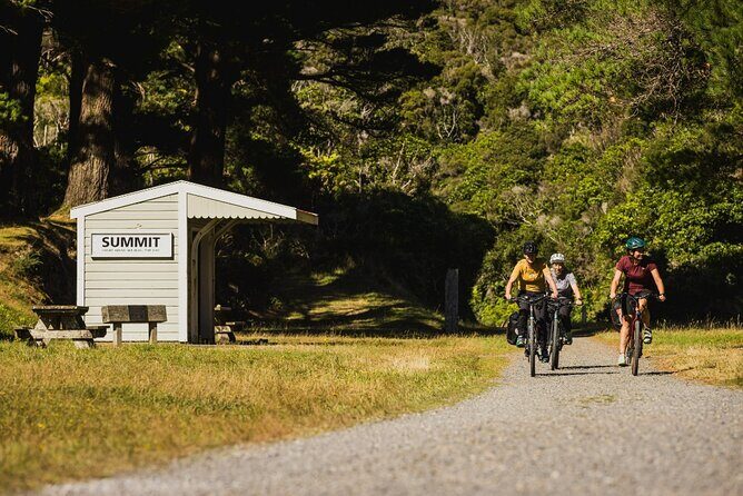 Remutaka Rail Trail- Wellington eBike Cruise Ship Shore Excursion - What’s Included and What’s Not