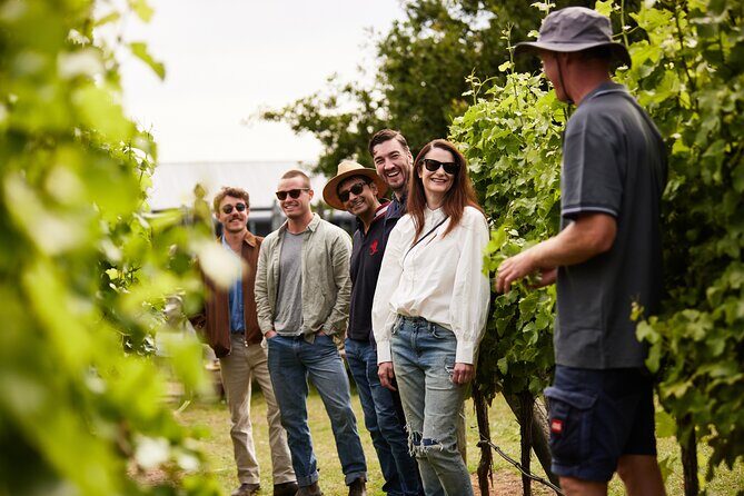 Richmond and Wine Tour - The Full Breakdown: What to Expect