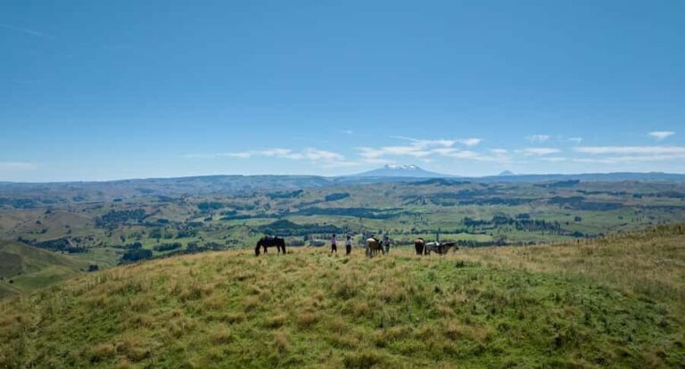 River Valley Lodge: High Country Enchantment Horse Trek - Who Should Consider This Tour?