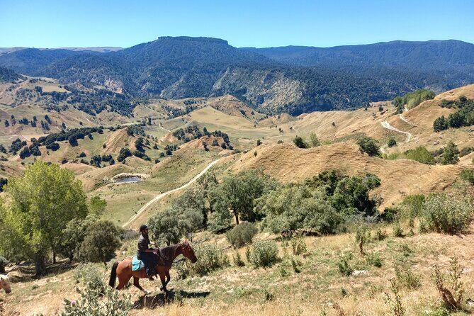River Valley Stables - Burn The Breeze, Half Day Horse Ride For Riders - Analyzing the Value: Is It Worth It?