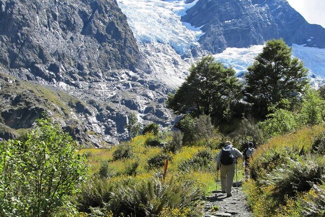 Rob Roy Glacier Guided Walk - Final Thoughts: Who Will Love This Experience?