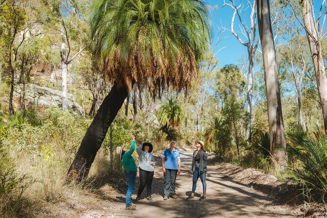 Roma: Lost World Carnarvons (Wallaroo) Day Tour - What Our Reviewers Say