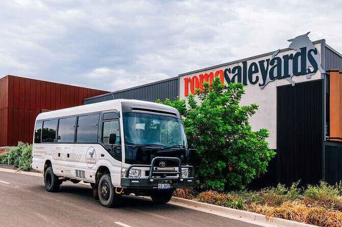 Roma Revelation Tour Experience - Who Will Enjoy This Tour?