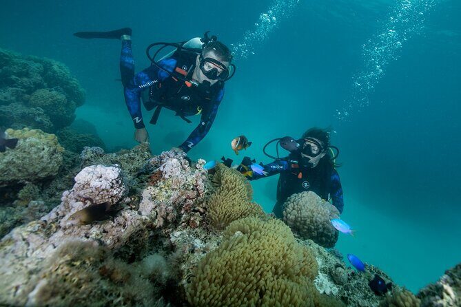 Romantic dive in the lagoon of Bora Bora - FAQs