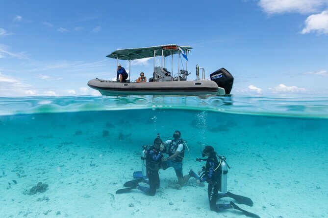 Romantic dive in the lagoon of Bora Bora. Private instructor on a shared boat - Who Should Consider This Tour?