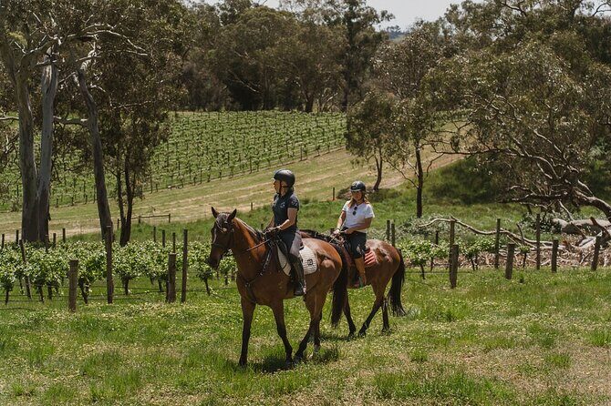 Romantic Horse Trail Ride with Wine and Food in Adelaide Hills - An In-Depth Look at the Adelaide Hills Romantic Horse Trail Ride