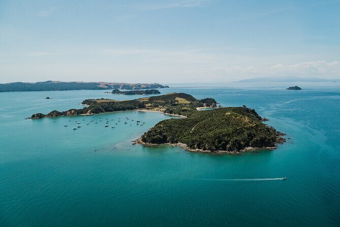 Rotoroa Island Ferry - from Auckland - Who Will Appreciate This Tour?