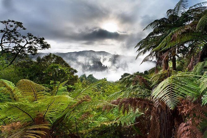 Rotorua based Small Group Morning Tour Waimangu and Wai O Tapu - What You Can Expect From the Itinerary