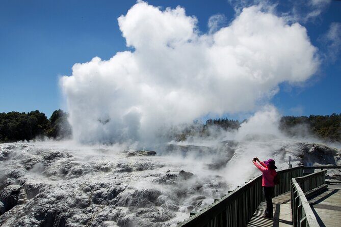 Rotorua Day Trip from Auckland TePuia_Hot Pool-Tub_Redwood Forest - Who Would Love This Tour?
