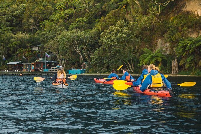 Rotorua: Daytime Scenic Lake Rotoiti Kayak Tour - Who Will Love This Tour?
