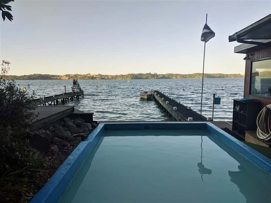 Rotorua: Daytime Scenic Lake Rotoiti Kayak Tour - Authenticity and Value