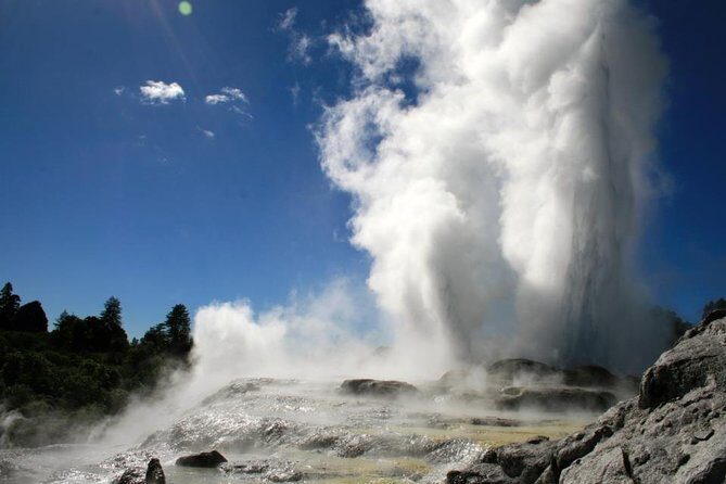 Rotorua Discovery Te Puia Tour - Authenticity and Value
