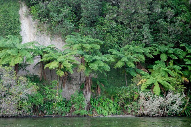 Rotorua Evening Big Kanu Starlight Tour - What’s Included and What’s Not