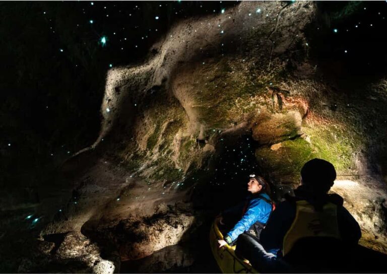 Rotorua: Glow Worm Kayak Tour - An In-Depth Look at the Rotorua Glow Worm Kayak Tour