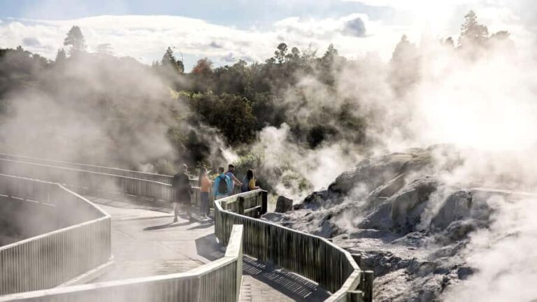 Rotorua: Glowworm Cave, Redwoods Forest & Te Puia Tour - What Makes This Tour Stand Out?