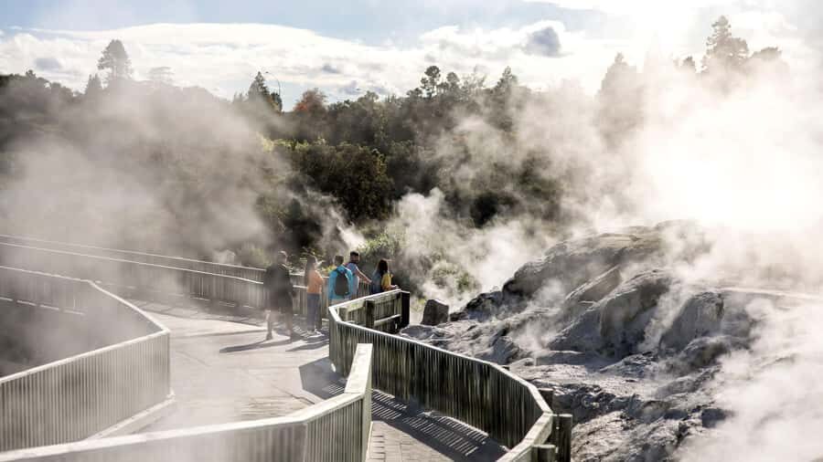 Rotorua: Glowworm Cave, Redwoods Forest & Te Puia Tour - What Makes This Tour Stand Out?