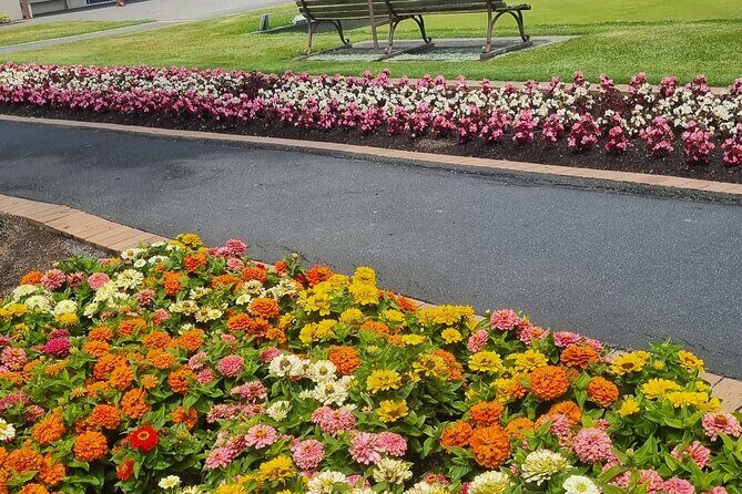 ROTORUA Highlights Tour In A Small Group - Who Should Take This Tour?