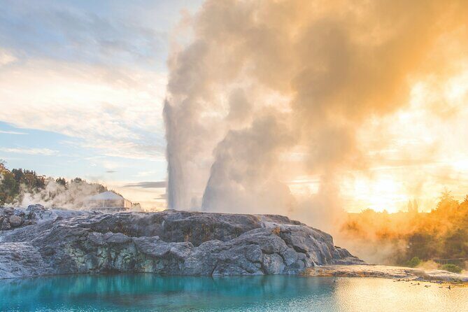 Rotorua Highlights Tour inc. Te Puia Tour, Lunch & Cultural Show - What Travelers Say: Authentic Feedback