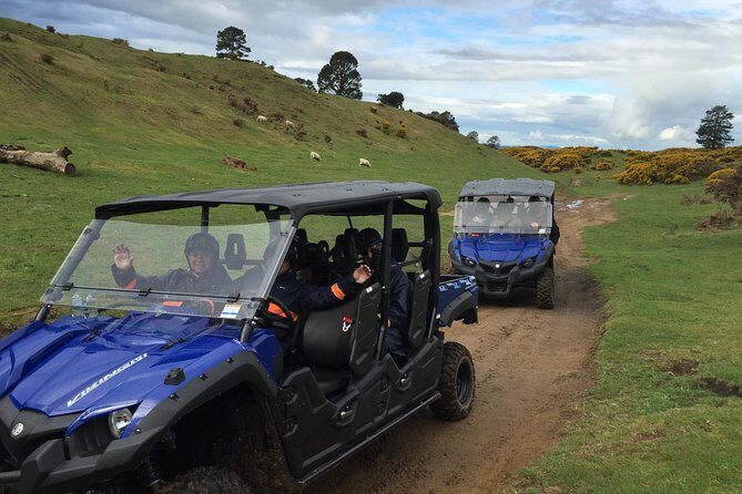 Rotorua Off-Road 4WD Buggy Adventure - Detailed Itinerary Breakdown