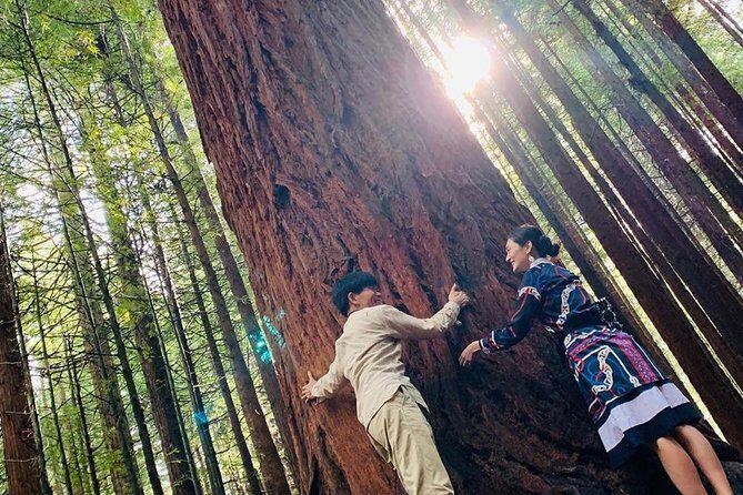 Rotorua Private tour with Hotspring - Why This Tour Offers Good Value
