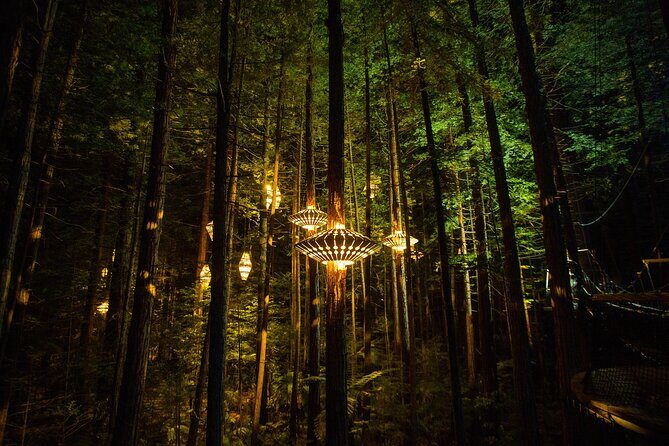 Rotorua: Redwoods Adventure 3-Hours - The Experience: What You Can Expect