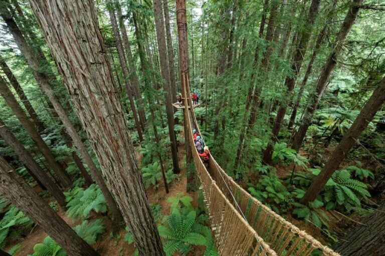 Rotorua: Redwoods Altitude High Ropes Adventure - Who Will Love This Tour?
