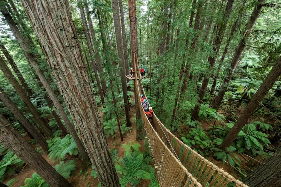 Rotorua: Redwoods Altitude High Ropes Adventure - Who Will Love This Tour?