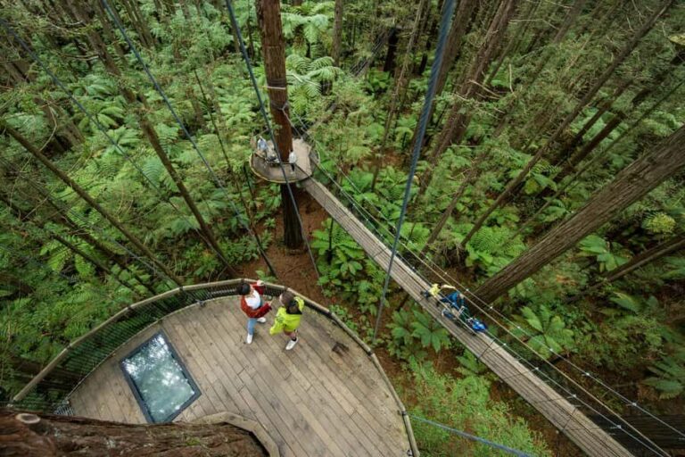 Rotorua: Redwoods Altitude, Nighttime Fast Pass, & Treewalk - Final Thoughts: Is This Experience Right for You?
