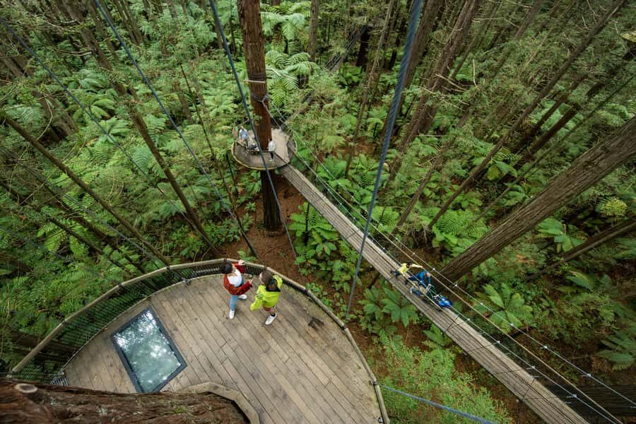 Rotorua: Redwoods Altitude, Nighttime Fast Pass, & Treewalk - Final Thoughts: Is This Experience Right for You?