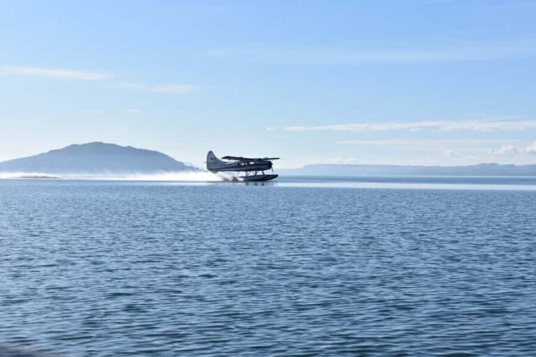 Rotorua: Scenic Flight over Mt Tarawera & Waimangu Valley - The Breakdown: What Makes This Tour Stand Out