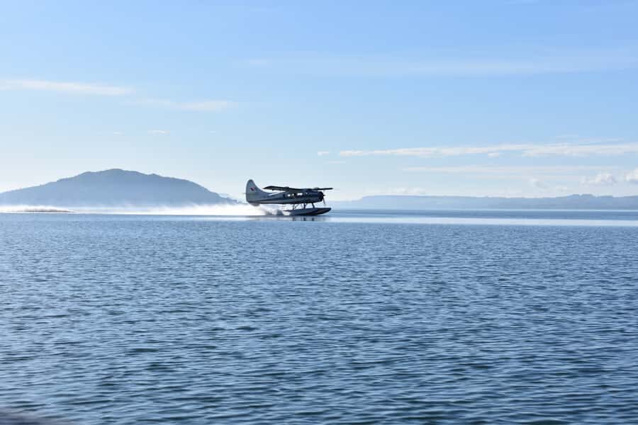 Rotorua: Scenic Flight over Mt Tarawera & Waimangu Valley - The Breakdown: What Makes This Tour Stand Out