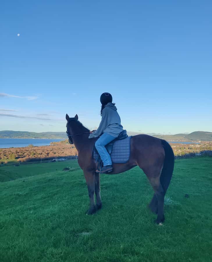 Rotorua: Scenic Horse Trek - The Itinerary: A Simple, Yet Delightful Loop