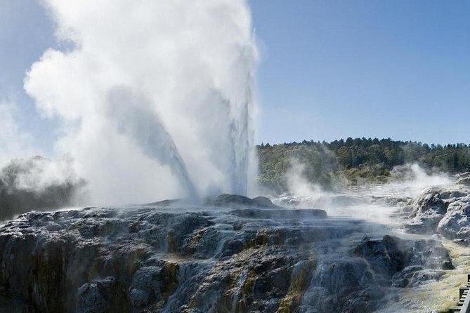 Rotorua Small-Group Day Tour from Auckland - The Experience: What Travelers Say