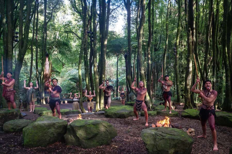 Rotorua: Te Pa Tu Mori Cultural Experience with Dinner - What Makes This Tour Stand Out?