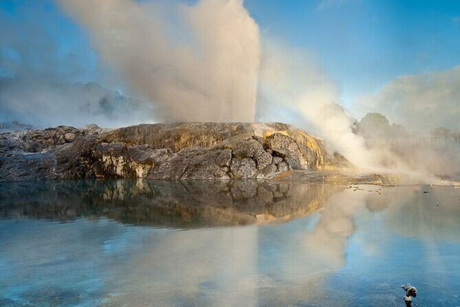 Rotorua Te Puia and Blue Springs Day Tour - Exploring the Rotorua Te Puia and Blue Springs Day Tour