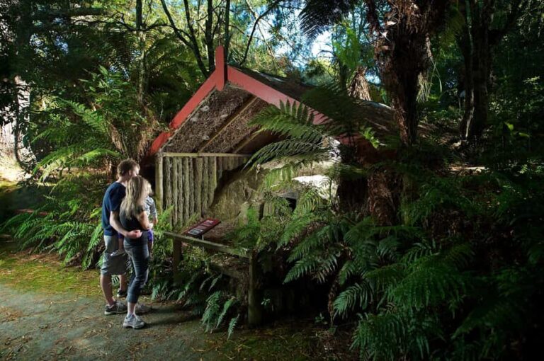 Rotorua: The Buried Village of Te Wairoa - The Museum: An Insight into the Past