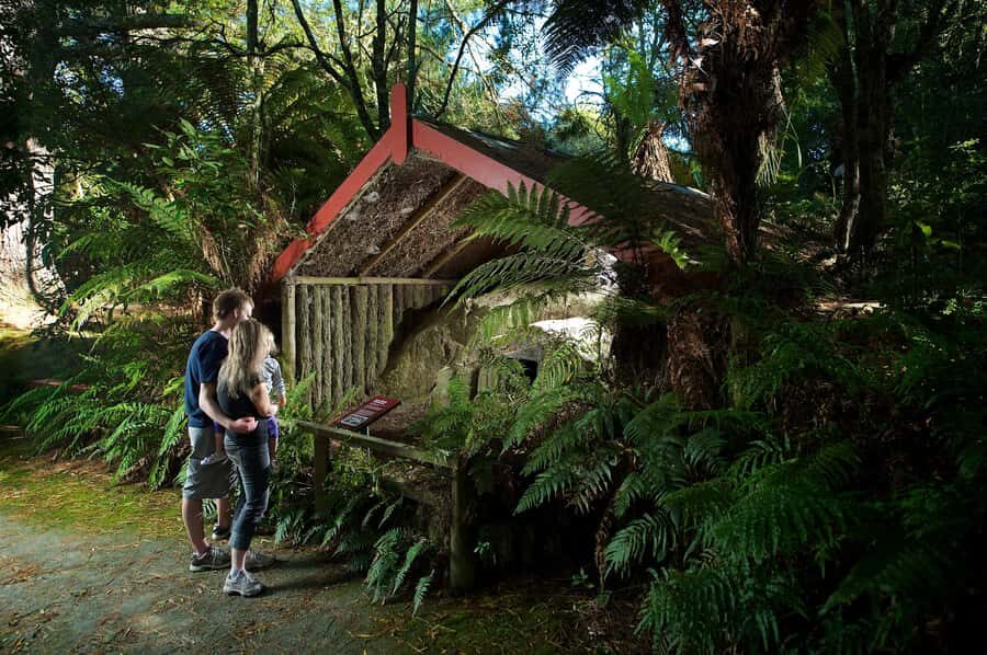 Rotorua: The Buried Village of Te Wairoa - The Museum: An Insight into the Past