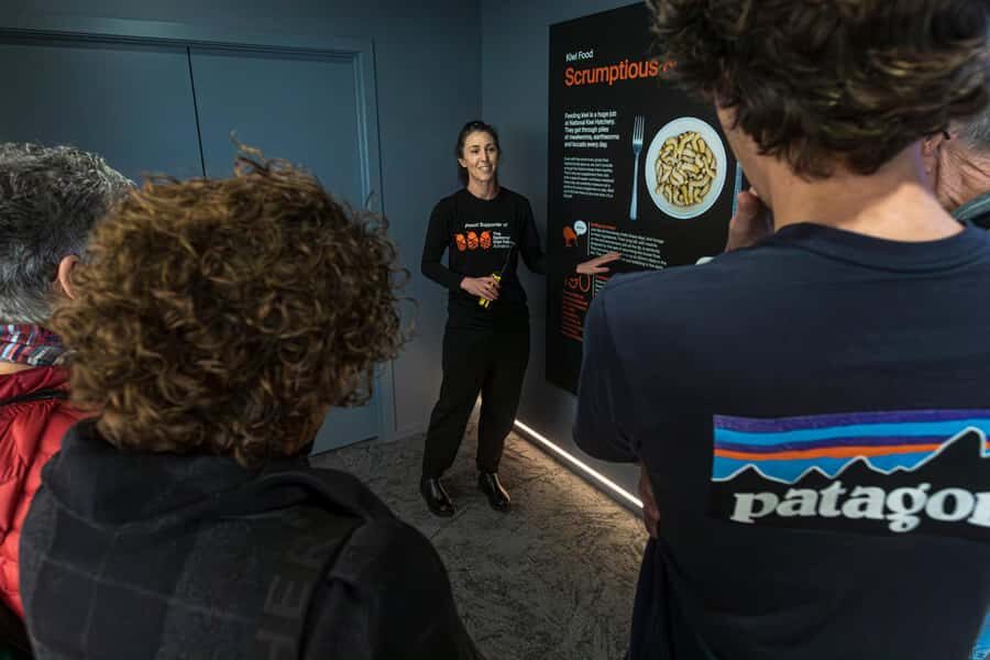 Rotorua: The National Kiwi Hatchery Kiwi Encounter Tour - The Practicalities