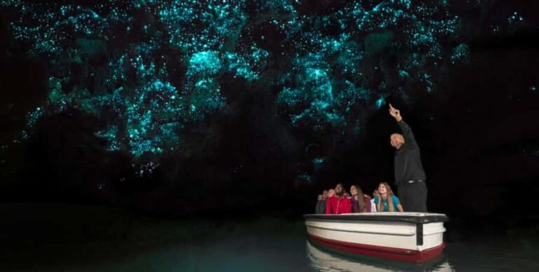 Rotorua to Auckland - Afternoon Transfer with Waitomo Caves - What You Can Expect During the Day